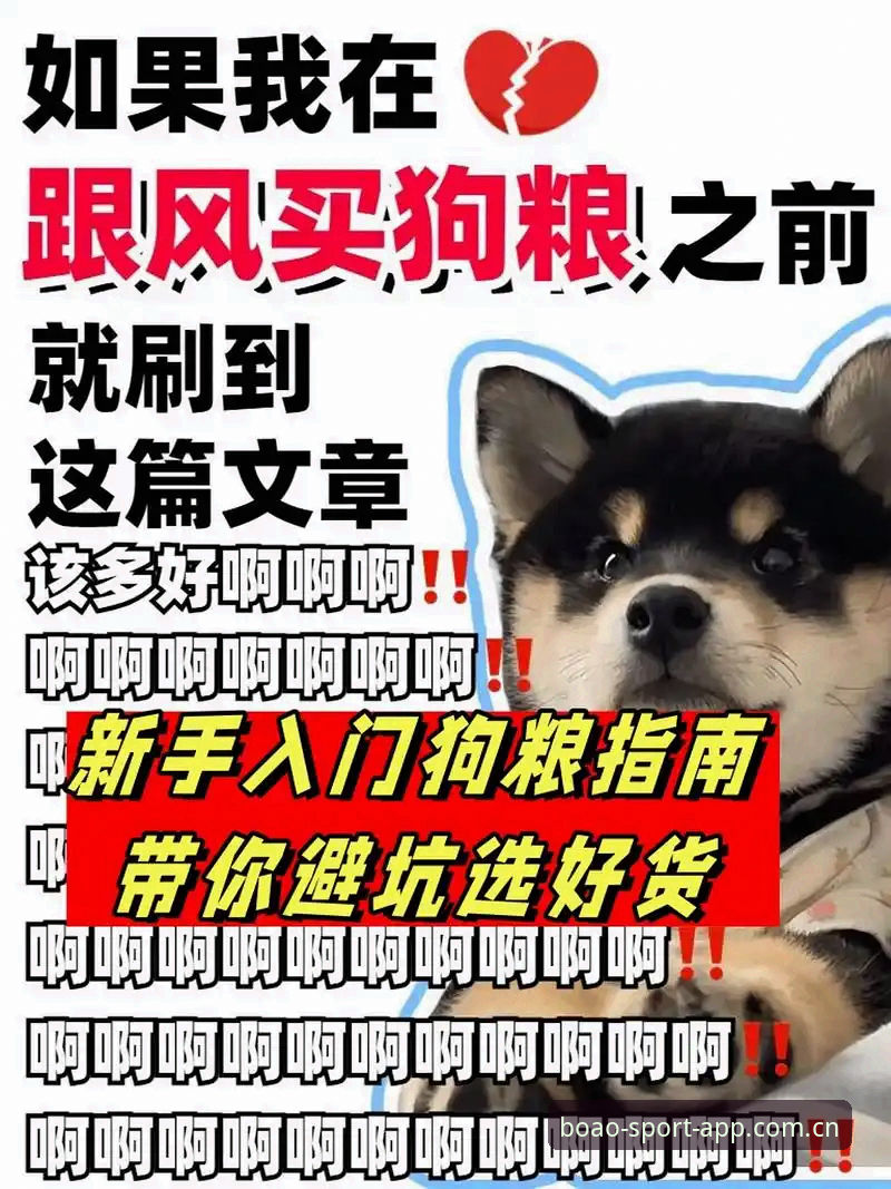 玩转英超热身的实用技巧：从注册到数据追踪的避坑指南